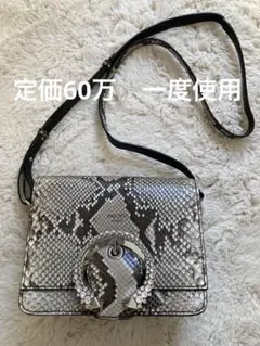 ジミーチュウ パイソン バッグ