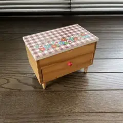 SWIMMER アクセサリーケース