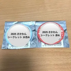あほの坂田。 さかわん シークレット シクレ 缶バッジ Nurse