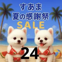✨夏の感謝祭セール✨パネル【Ｎｏ．24】