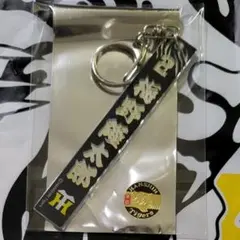 梅野隆太郎 阪神タイガース シークレット ミラーキーホルダー