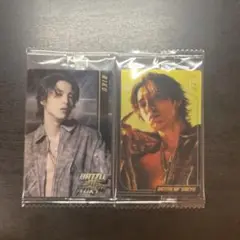 BATTLE OF TOKYO THE RAMPAGE RIKU 2枚セット