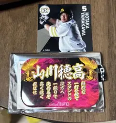 福岡ソフトバンクホークス シークレット缶バッジ