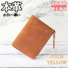 Item thumbnail for item 6c034359-248f-411b-ab66-42fa51853d78