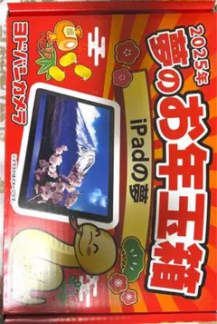 ヨドバシカメラ　2025年夢のお年玉箱iPad第10世代 Wi-Fi 64GB ヨドバシ.com - アップル Apple iPad（第10世代） 10.9インチ Wi