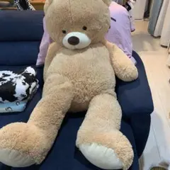 くまさん　ぬいぐるみ