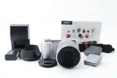 ◆ショット数1308回◆美品◆ SONY α NEX-C3D シルバー