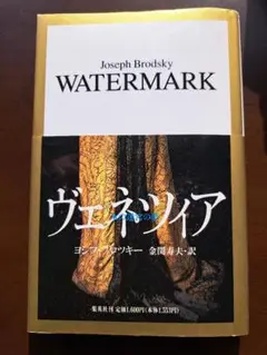 ヴェネツィア・水の迷宮の夢