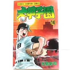 大甲子園 16巻 漫画 水島新司 野球漫画 中古 古本 秋田書店