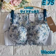 Wacoal Wing レシアージュしっかりフィット上下セットE75❣️GY♡ᵕ̈*