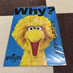 Universal Studios Japan クリアファイル