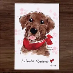 イラスト 原画 ポストカード 絵 【ラブラドールレトリバー】65
