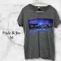 早い者勝ちPride & Joy 【M】DARK SKY Tシャツ グレー 半袖