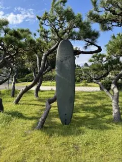 引き取り限定！ ￼オディシー プランク 8'0"