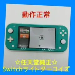 ①　動作正常　Nintendo Switch ライト　本体　ターコイズ　Lite