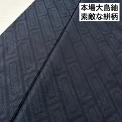 本場大島紬 横双 素敵な絣柄 着物 正絹 袷 広衿 RK-3158