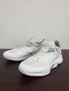 Item thumbnail for item cec27506-fcbb-4f85-8381-08bb874680ea