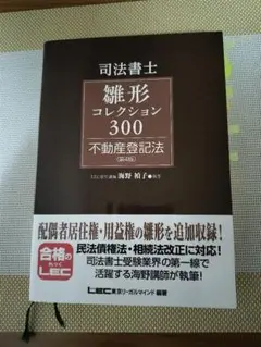 2025年最新】雛形コレクション 300の人気アイテム - メルカリ