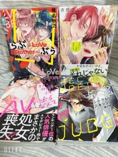 BLコミック4冊セット　666円　②
