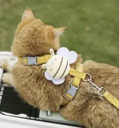 Item thumbnail for item c319e4c0-805b-443d-8f64-d54fc8371545