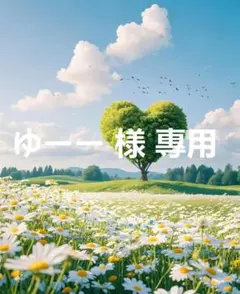 ゆーー 様 專用