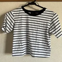 ストライプ クロップドTシャツ 半袖　140