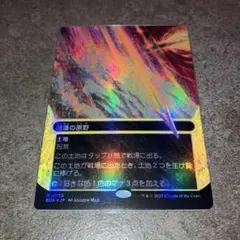睡蓮の原野　ボーダーレスfoil 1枚　日本語　MTG