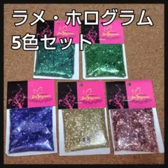 未使用 袋入り ラメ ホログラム 5色セット