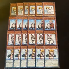 遊戯王　レスキューシリーズ　各6枚