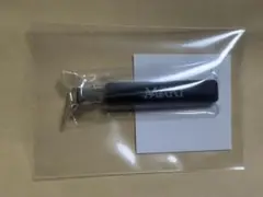 即購入⭕️＆TEAM アジアツアー　現地購入　ピン MAKI
