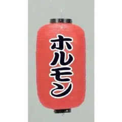 提灯 (ちょうちん) ホルモン 9号長型 高さ60cm