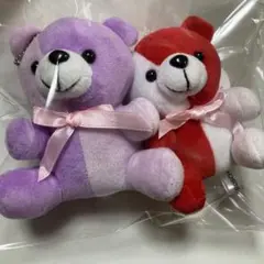 ハウステンボス　ツートンカラーベア　2体　くまぬいぐるみ　未使用品