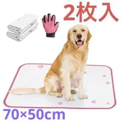 Item thumbnail for item d0f94e98-d95d-4b01-a3e4-534612abb0db