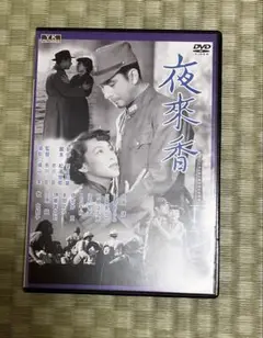 夜来香　DVD