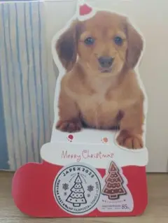 Item thumbnail for item 7b3b3513-b8cd-46c7-9ab7-8a5744445e66