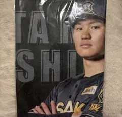 阪神タイガース　阪神百貨店限定TIGERS B-LUCK DYNAMITE #1