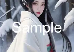 A4サイズアートポスター 1点もの 美女ポスター最高品質 B-F--７６