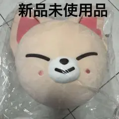 Item thumbnail for item 58c3c70c-183d-4b81-be07-e210f89717f8