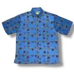 Item thumbnail for item c5e1f646-49de-4de3-bb46-149737bd77bc