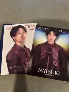 FANTASTICS 堀　夏喜BUTTERFLY EFFECT カードセット