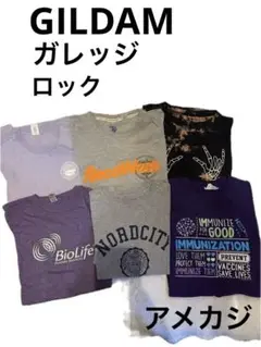 GILDAM など 古着Tシャツ6枚セット アメカジ　まとめ　ガレッジ　灰　紫