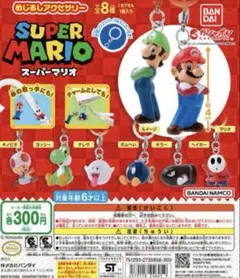 スーパーマリオブラザーズ　めじるしアクセサリー　ヘイホー