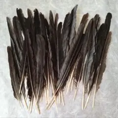からすの羽根 (長め) ハンドメイド 素材