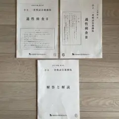 【同梱割有】2021年度小6 一貫模擬首都圏版　適性検査