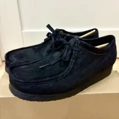 Item thumbnail for item 88ade627-c74e-442b-9624-ef3690cbb6a4