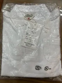 Item thumbnail for item 81b60050-3556-44e9-b96f-2c2b29326187