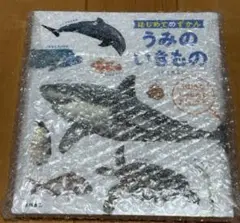 はじめてのずかん うみのいきもの