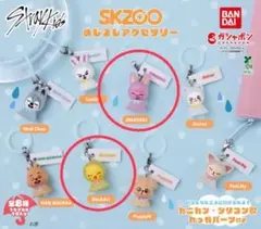 straykids SKZOO めじるしアクセサリー トゥエッキ ポガリ セット