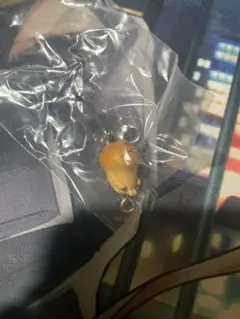 探偵なめこ栽培キット　つまんでつなげてマスコット　まめなめこ　匿名配送