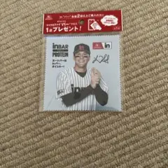 ラーズヌートバーマイクロファイバークロス